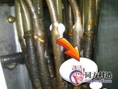 制冷劑泄漏有哪些檢測(cè)方法？